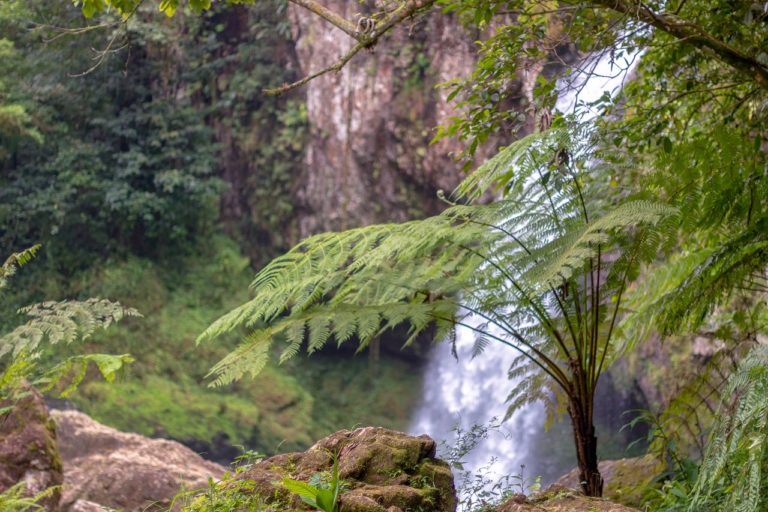 cascada las brisas cuetzalan