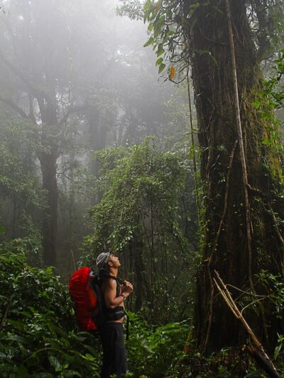 Ecoturismo