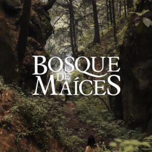 Bosque de maíces