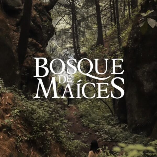 Bosque de maíces