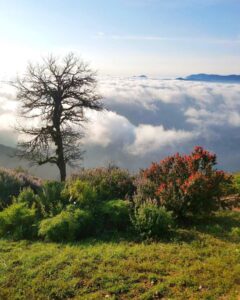 Aventúrate Sierra Gorda