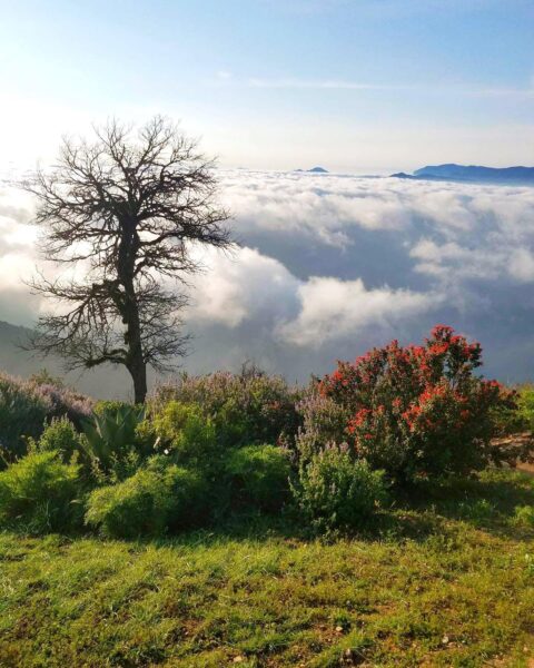 Aventúrate Sierra Gorda