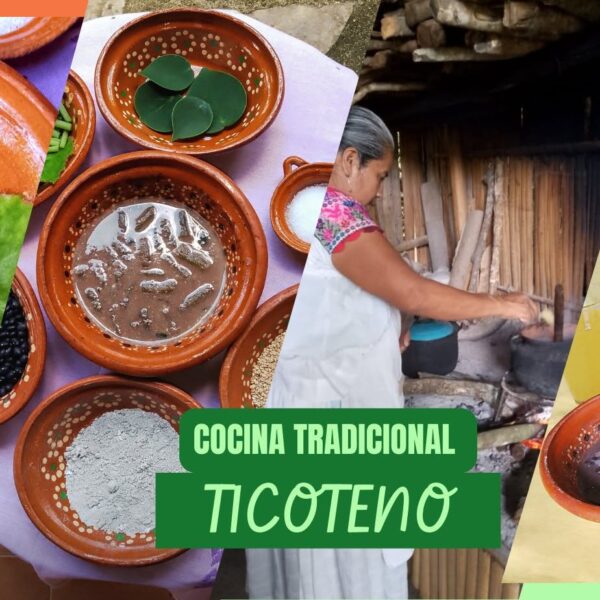 Cocina Tradicional Ticoteno - Chiuanime
