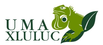 Xluluc